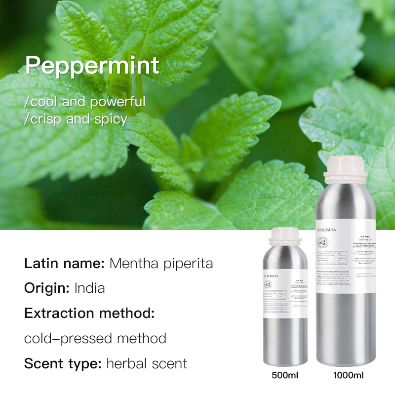 Menthe poivrée (Inde)