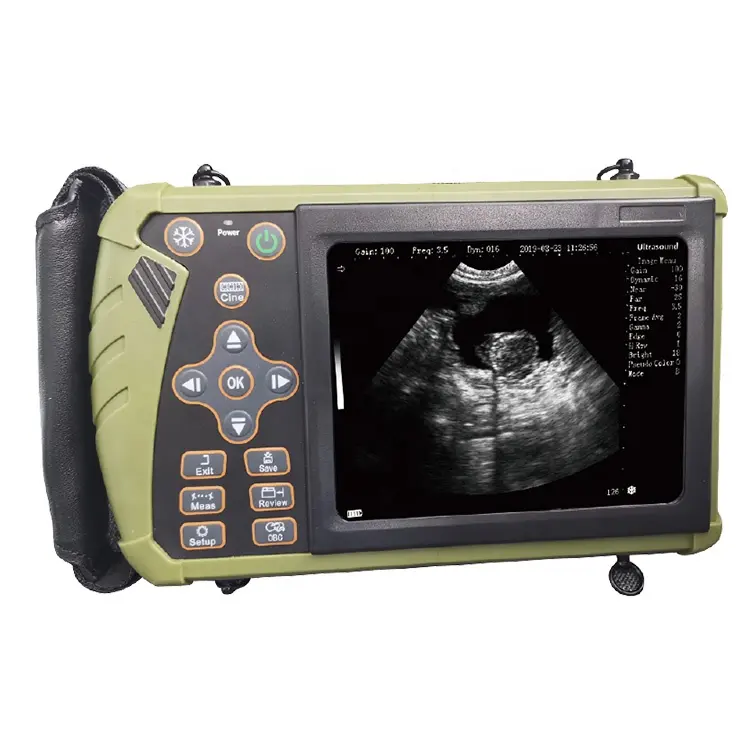 DW-VET5 Professional ปาล์มเต็มรูปแบบดิจิตอล Veterinary Ultrasound เครื่อง