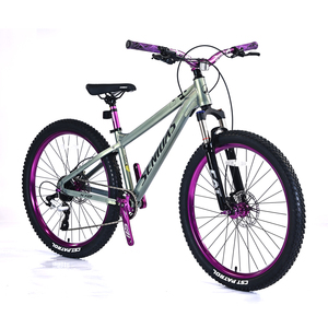 Chất Lượng Cao 8-Tốc Độ MTB 26 27.5 29 Inch Hợp Kim Nhôm Dành Cho Người Lớn Xe Đạp Leo Núi Lên Dốc Xuống Dốc Có Tính Năng Bình Thường Bàn Đạp Đĩa - Product Image 4