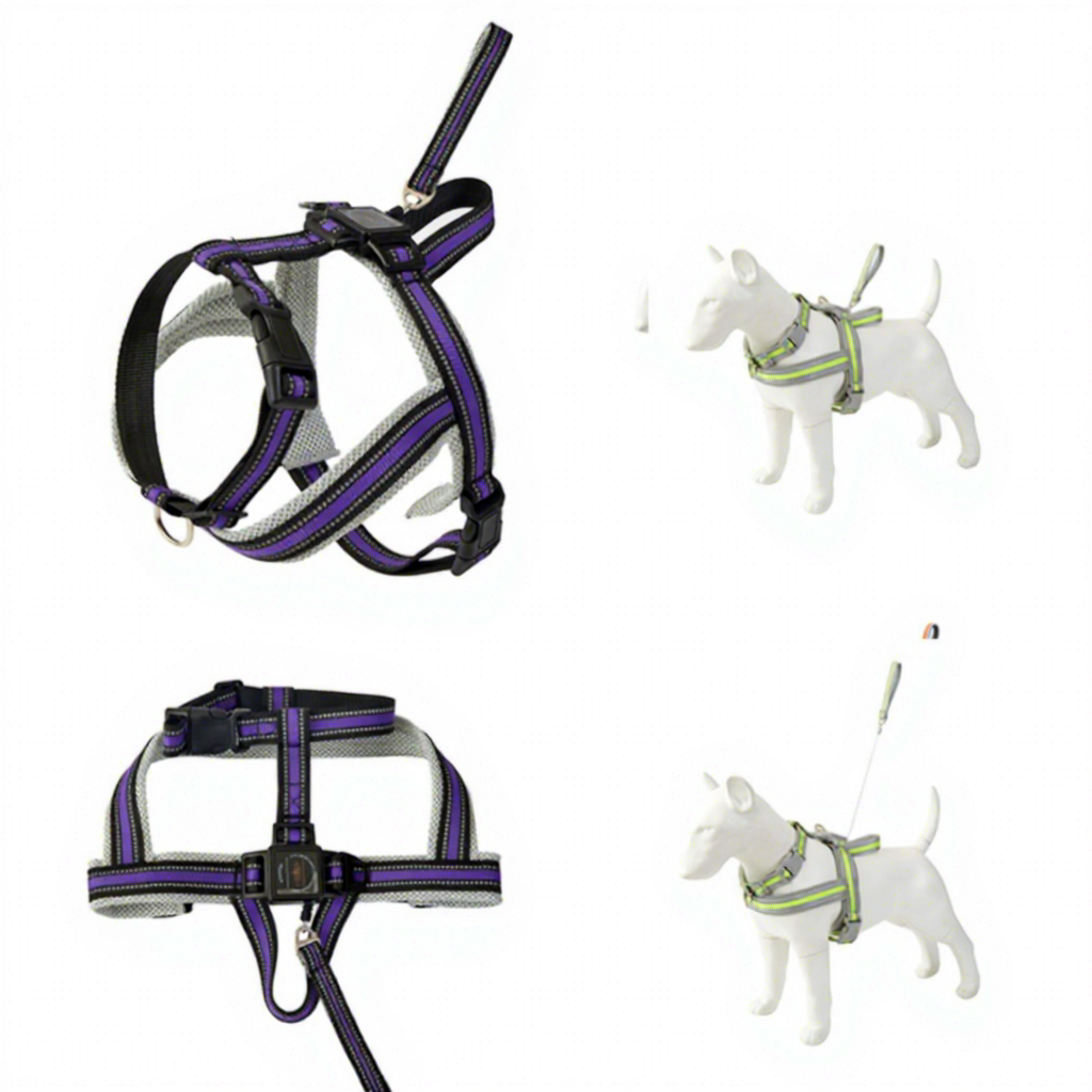 Harnais de poitrine diagonal - noir et violet