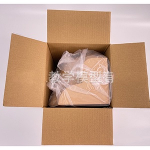 优质包子肌肉注射模型穿刺实习医学训练模型底髋肌肉注射 - Product Image 5