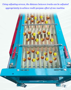 Prezzo di fabbrica inverno giuggiola datteri palma rossa datteri macchina per la classificazione della dimensione della frutta dell'uva selezionatrice - Product Image 2