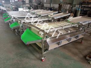 Rail Type <strong>Sorting</strong> <strong>Machine</strong> Size <strong>Sorting</strong> <strong>Machine</strong> 1000kg/h - Product Image 6