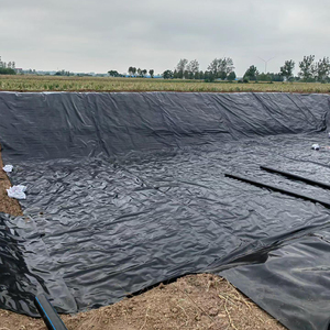แผ่นซับบ่อโพลีคาร์บอเนต HDPE geomembrane PVC กันน้ำดีไซน์อุตสาหกรรมขนาด1.0มม. สีดำสีขาวสีฟ้าสีเขียวการเพาะเลี้ยงสัตว์น้ำ - Product Image 1