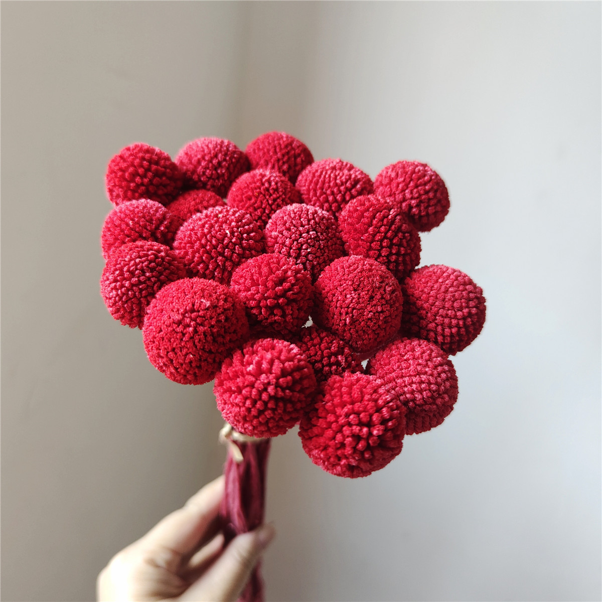 Rojo