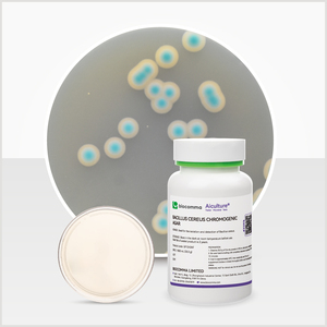 Gélose chromogène à <span class=keywords><strong>Candida</strong></span> utilisée pour l'isolation et la détection rapides d'Escherichia Coli O157:H7 - Product Image 4