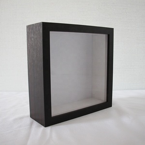 Diy bitki örneği ekran kare 2 inç derin gölge kutu çerçevesi beyaz siyah 4 çerçeve renk 10x10 gölge kutu çerçevesi - Product Image 5