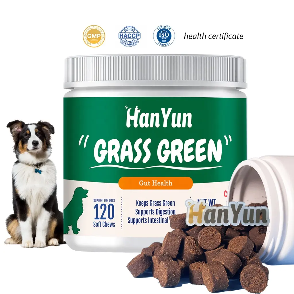 Supplément pour animaux de compagnie Grass Green Soft Chew Supplement Bundle avec enzyme digestive pour chien Pee Grass Lawn Spot Saver, Grass Burn Spot