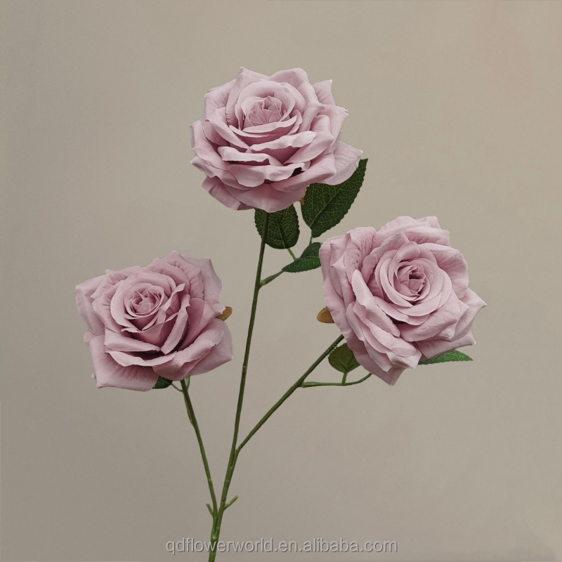 #1 pâte de haricots rose