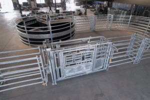 Cattle Management Systems With Revolving Doors Extrusion Group Separation Doors Balustrades Loading Cattle <strong>Ramps</strong> - Product Image 6