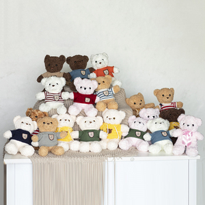 OEM ODM özel peluş oyuncaklar Teddy bear severler bebekler sarılın ayı renkli hoodie oyuncak ayı dolması hayvan oyuncaklar özel marka logosu
