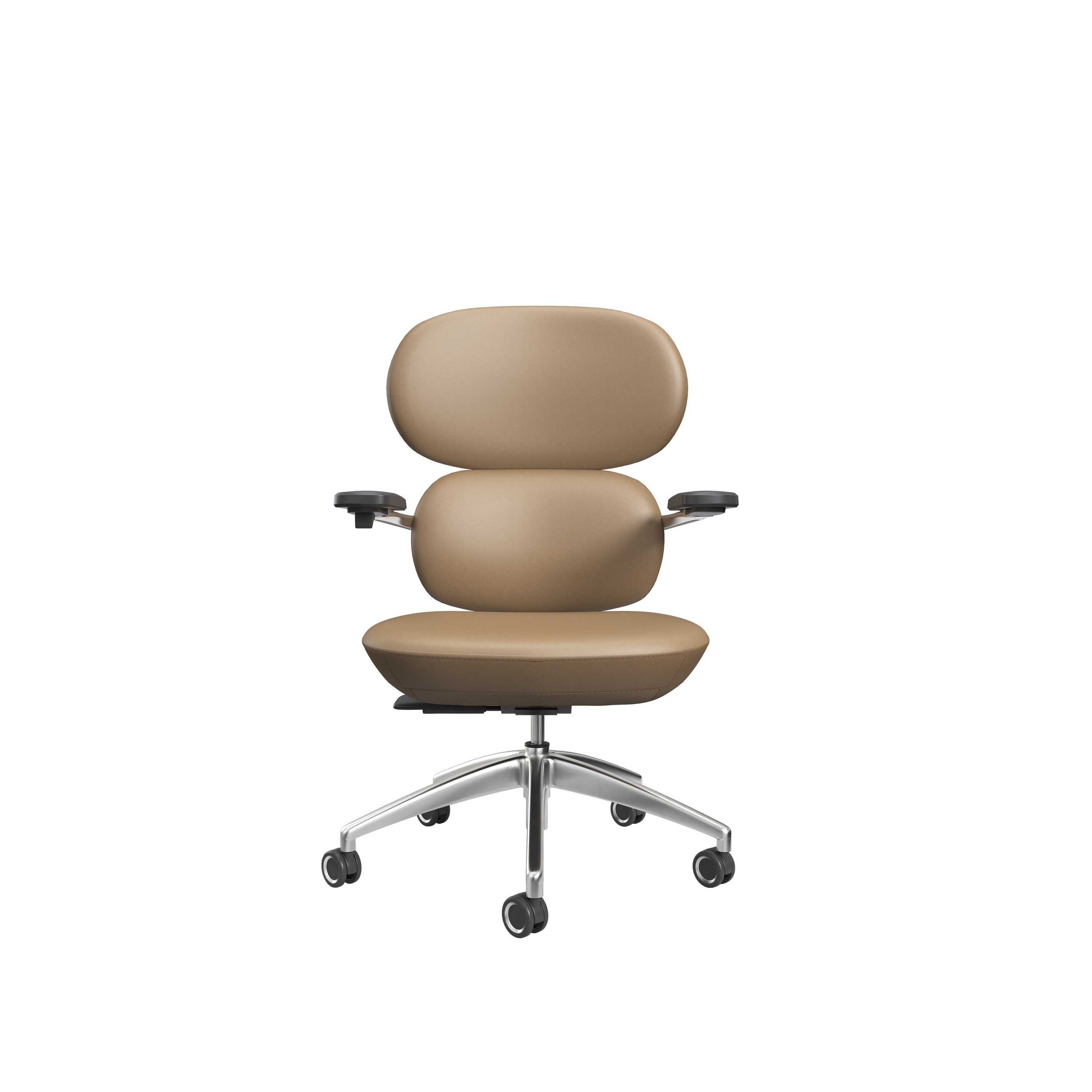 Brown-1