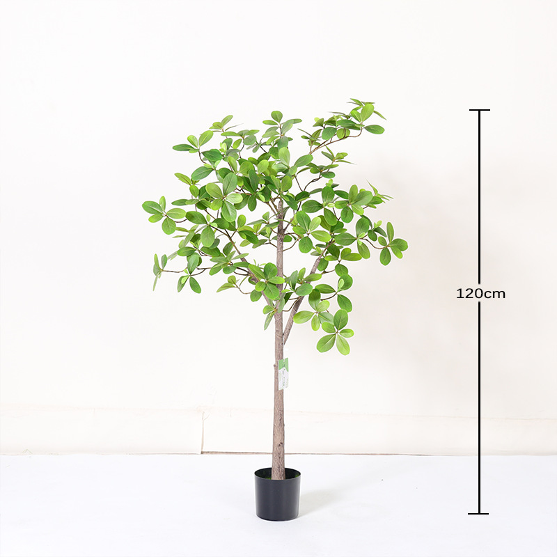 120cm
