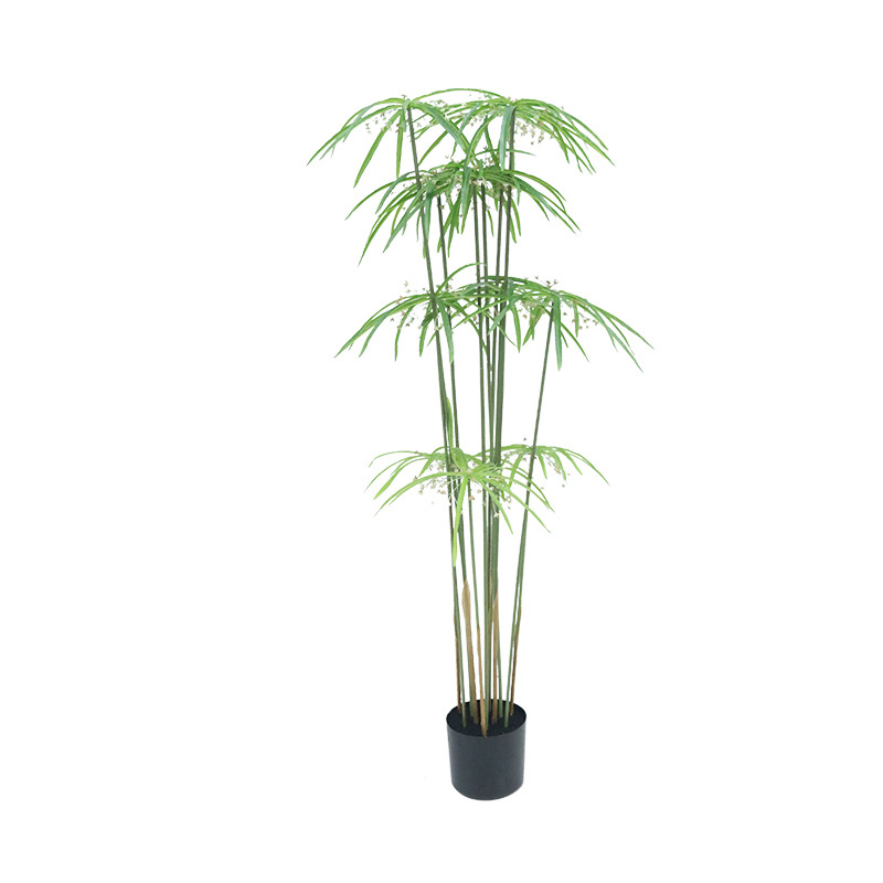 120cm