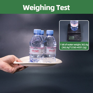 10 אינץ 'bpa להתאמה אישית pa חינם צבעים עיקריים 100% מתכלה eco טבעי bagasse ecasse חד פעמי צלחת נייר