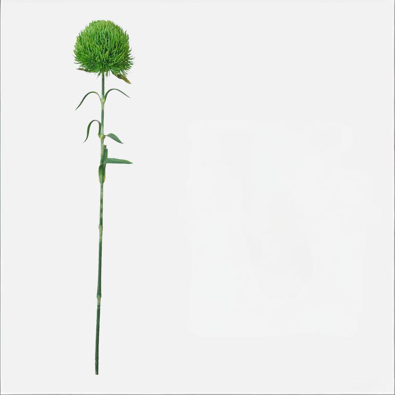 Vert foncé