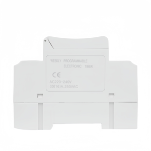 Interruttore Timer digitale 2 canali 12V ingresso 110V 220V/230V/240V tempo di uscita programmabile Controller