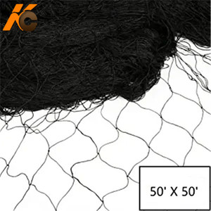 Factory HDPE or Nylon <strong>Bird</strong> &amp; Pigeon Netting 19mm <strong>Bird</strong> Netting Sparrow <strong>Net</strong> - Product Image 5