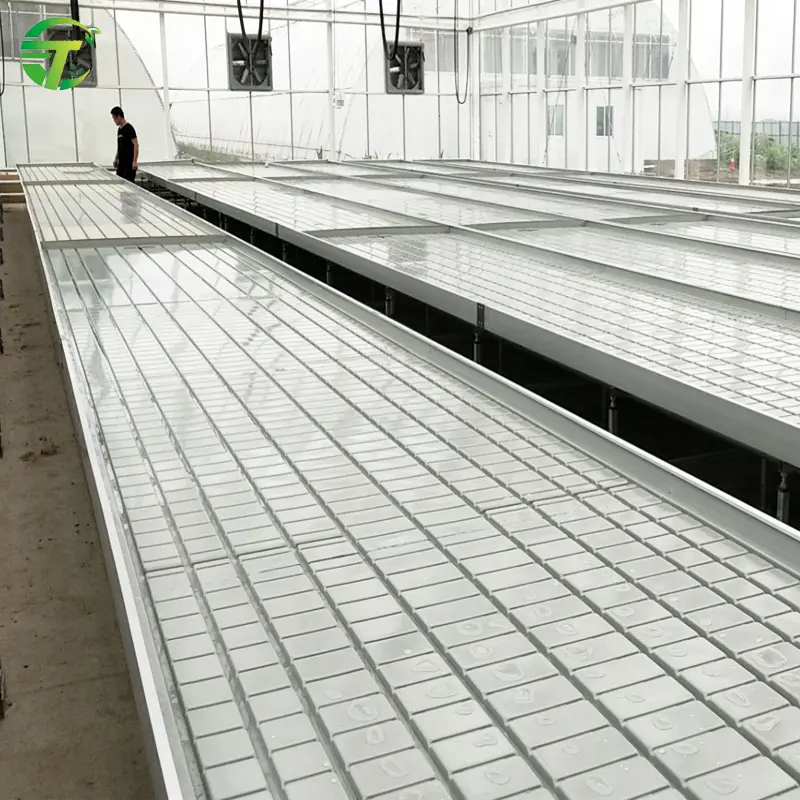 Mesa de cultivo hidropónico para invernadero, bandejas de forraje verde para cultivo de cama
