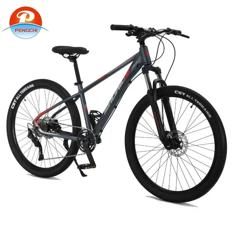 Bicicletas bicicleta de montaña 29 pulgadas 10 velocidades cuadro de aleación de aluminio urbano unisex, precio de fábrica MTB para adultos, venta al por mayor de alta calidad