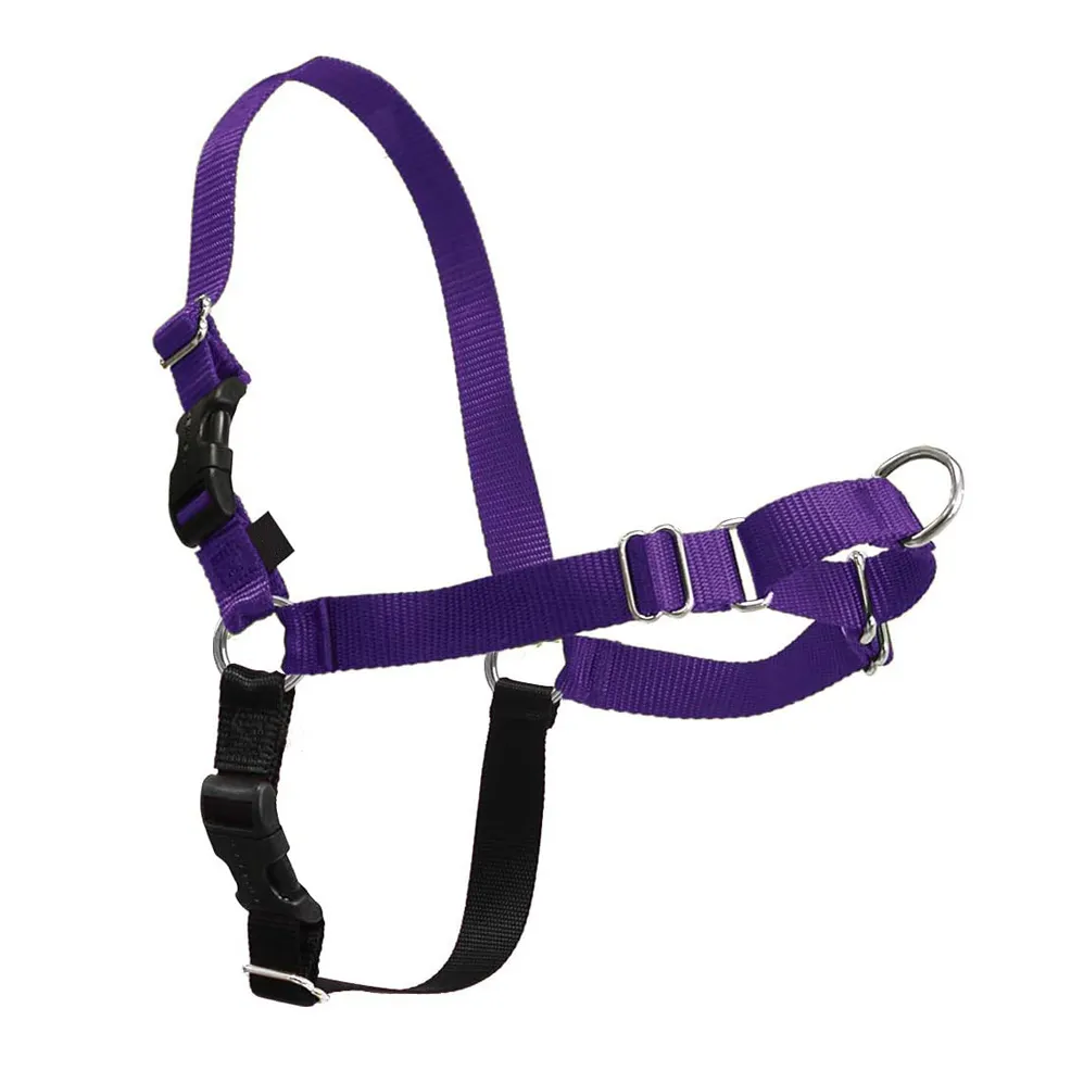The Ultimate No-Pull Dog Harness Take Control & Teach Better Leash Manners