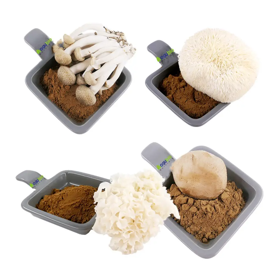 Bouteille OEM de formule de client biologique, mélange de gouttes de champignons, complexe de champignons, liquide à base de plantes/extrait de champignons