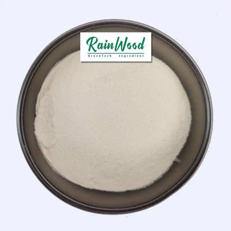 Rainwood più nuovo lotto polvere di papaina naturale polvere di enzimi di papaina di grado cosmetico per la pelle estratto di foglie di papaya papain 99% in vendita