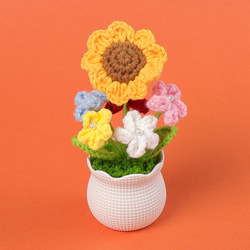 Forget-me-not flower potted plant - little sun