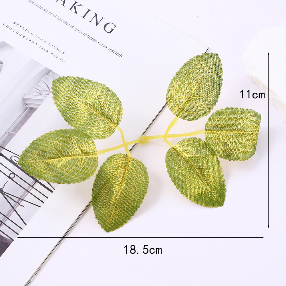 Simulated Leaf 1