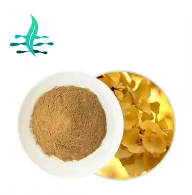 Best Price Ginkgo Biloba Extract Ginkgo Flavones 24% Lactone 6% Quercetin/Kaempferol 1:1