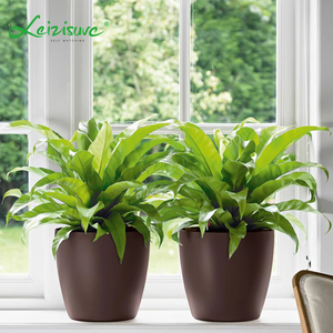 标志画花盆日本弯曲黄金pp selfwatering植物花盆 - Product Image 4