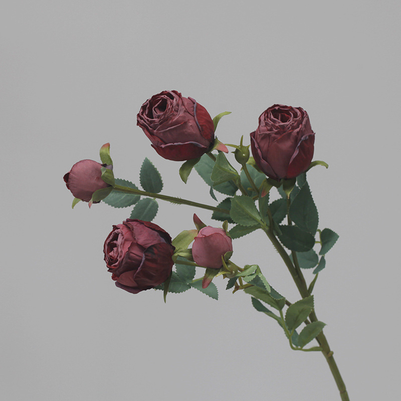 มณฑลเบอร์กันดี