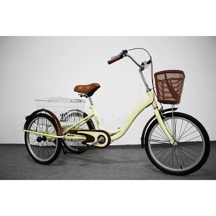 Cina di vendita Calda adulti tre 3 ruota di bicicletta elettrica triciclo per il carico 250W 36v 3 ruote bici elettrica bicicletta bicicletta bicicleta