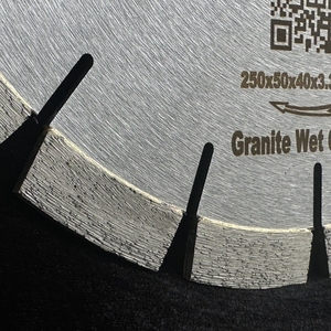 250mm <span class=keywords><strong>10</strong></span>インチ御影石鋸刃ダイヤモンド切削ディスクブラックレッドカラフル御影石石工具用