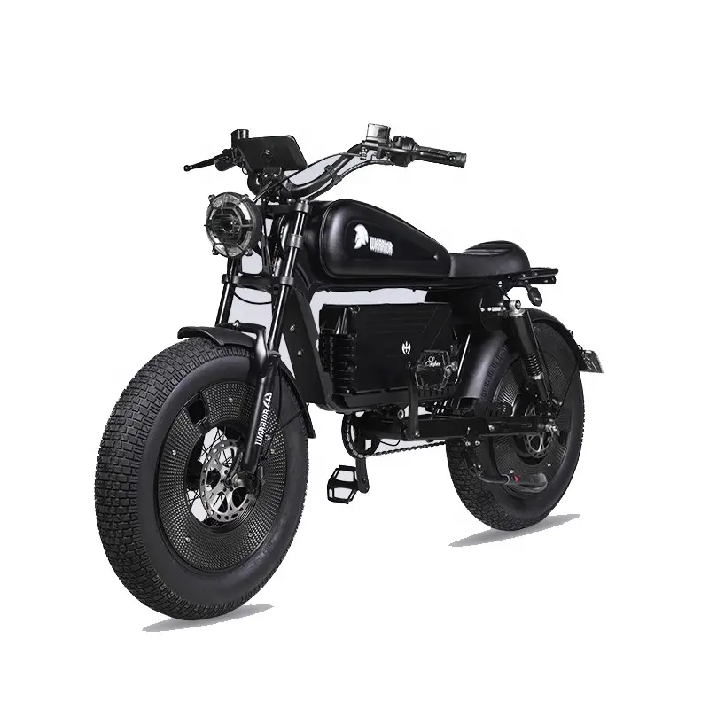 Durevole 20 "Cafe Racer per adulti 1500W motore 30Ah 60Ah elettrico grasso pneumatico Dirt Bike moto benzina bicicletta elettrica Vintage Ebike