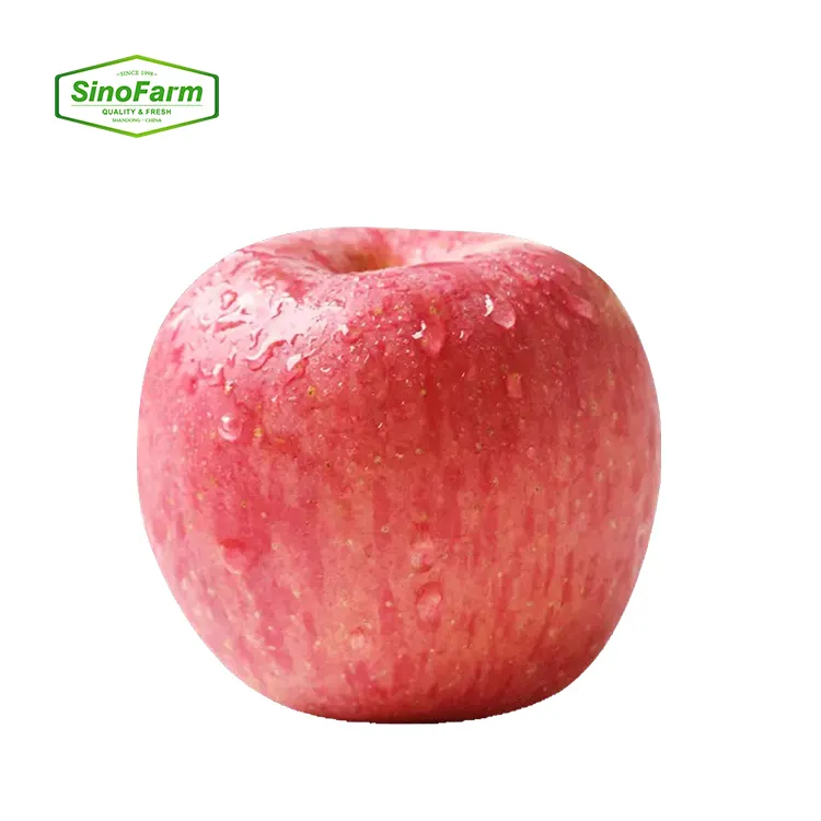 中国のリンゴ新鮮なガラアップル甘い富士アップル農場からの輸出のための卸売
