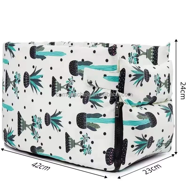 กระบองเพชร