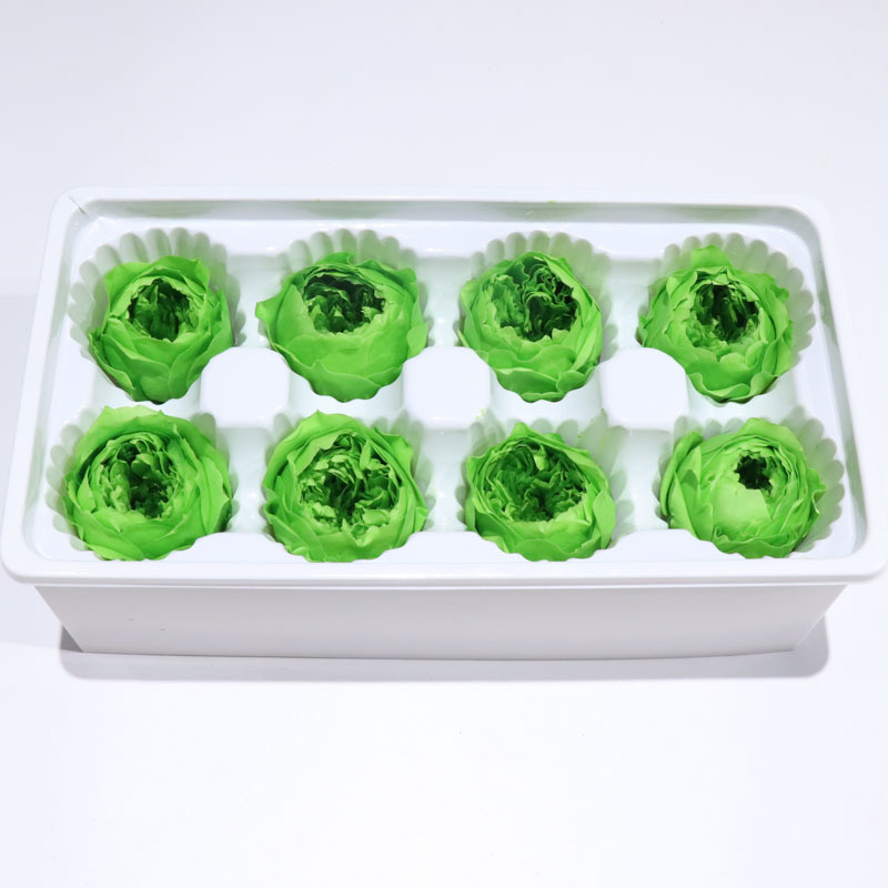 Verde Oliva