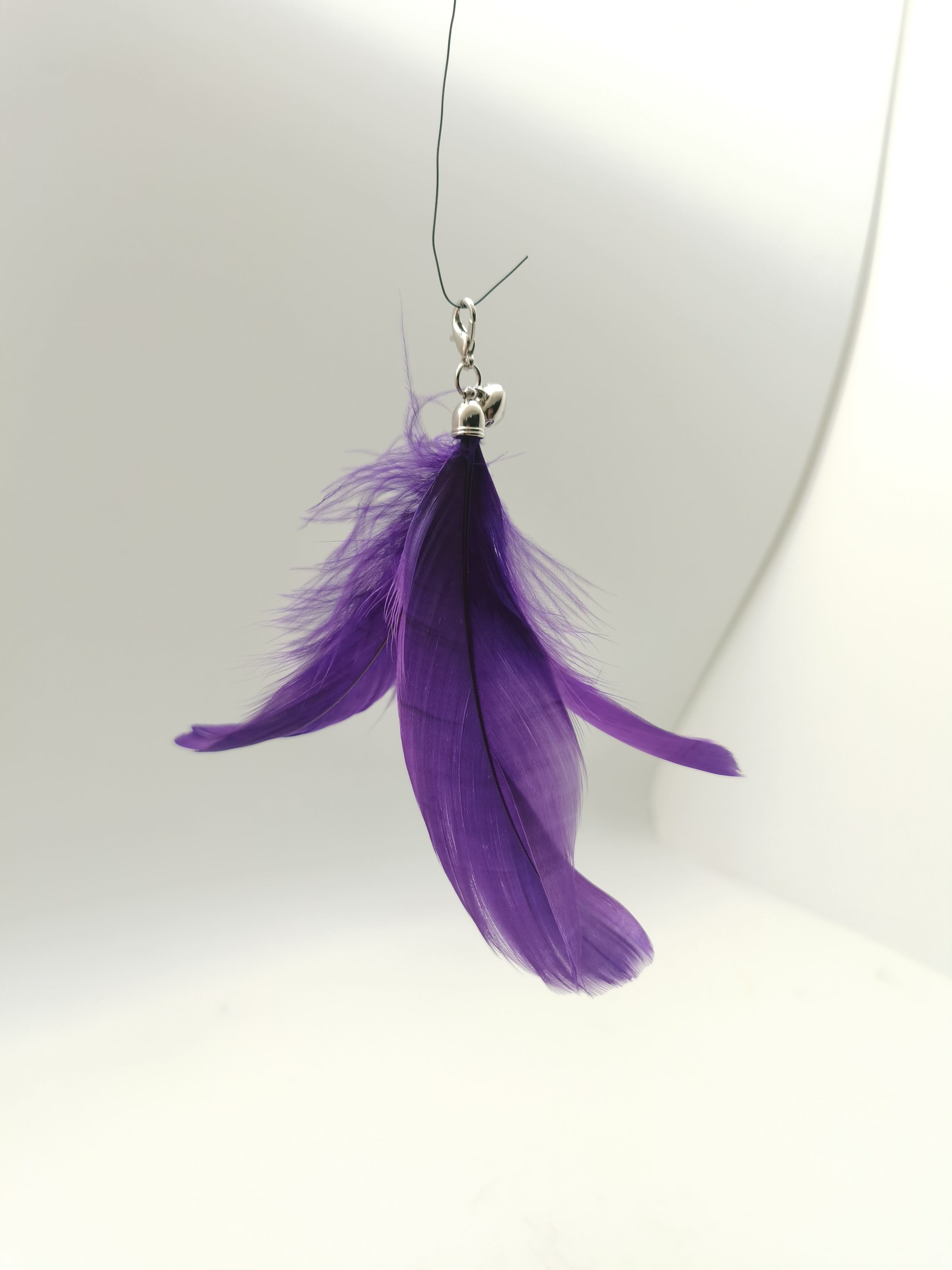 Purple feather