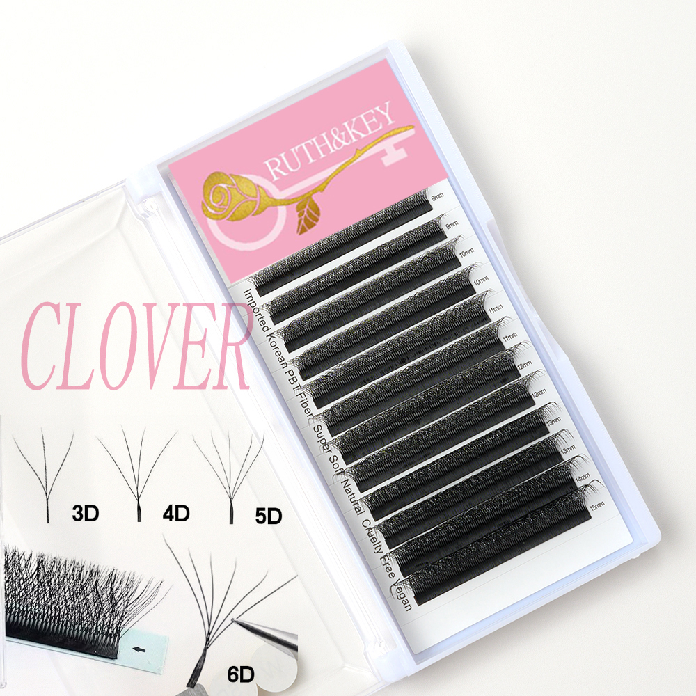 CLOVER-6D