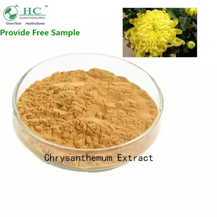 Extrait de chrysanthème de haute qualité 10:1,15:1,20:1,5%,10%,15% Flavone