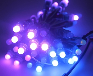50pcs像素led RGB WS2811梦想变色可寻址圣诞串灯防水12毫米DC5V 12v广告板 - Product Image 4