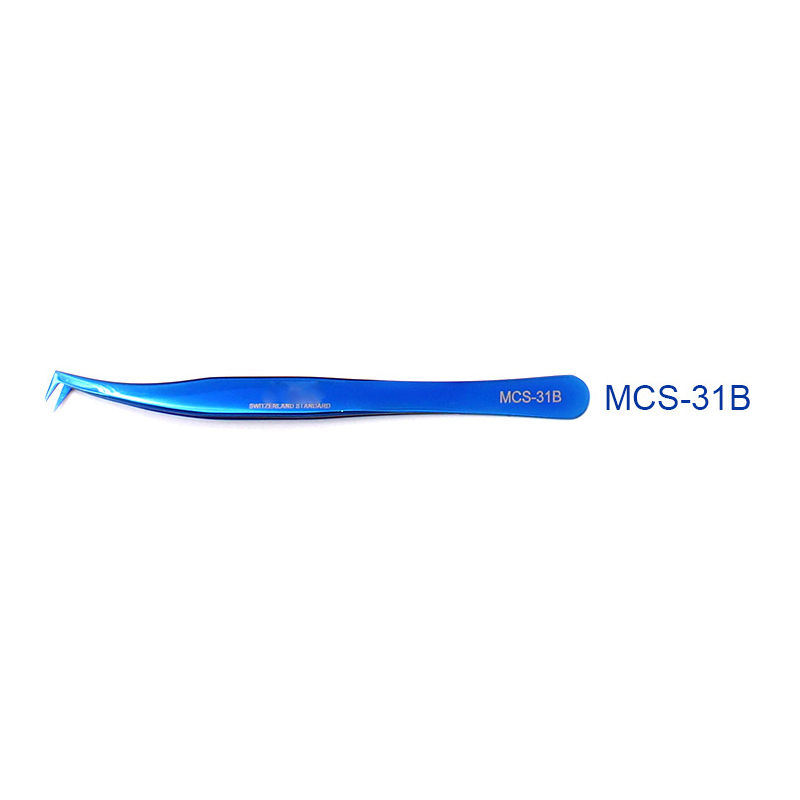 Bleu-31B