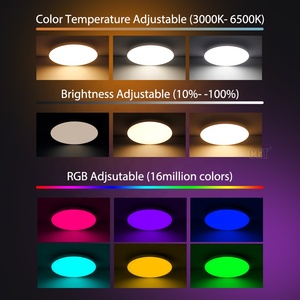 Модный простой 20 Вт 12-дюймовый светодиодный умный потолочный светильник RGB CW - Product Image 3