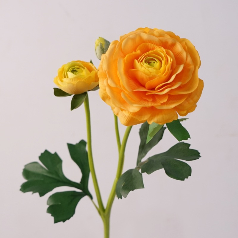 Jaune orange