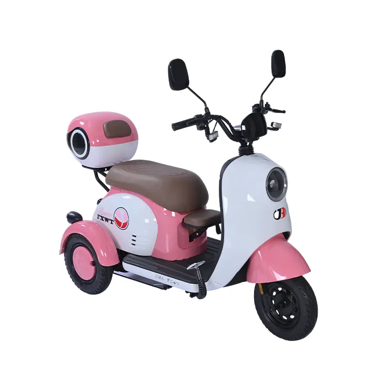 Ausgezeichnete Qualität professionell 500-1000 W elektrisches Dreirad Schlussverkauf elektrisches Dreirad 3-Rad-Tricycle für Erwachsene