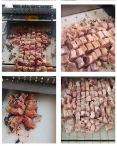 เครื่องหั่นเนื้อหมูแช่แข็งเครื่องหั่นเนื้อไก่เครื่องหั่นเนื้อแช่แข็งเครื่องหั่นไส้กรอกอัตโนมัติใช้งานได้ทั่วโลก - Product Image 6