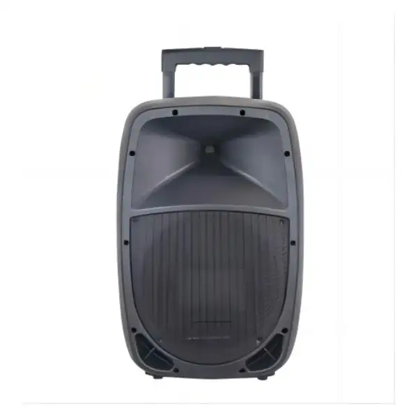 Professionele Draagbare Trolley 10 Inch Aangedreven Pa Dj Speaker Lege Plastic Box Speaker Lege Kasten
