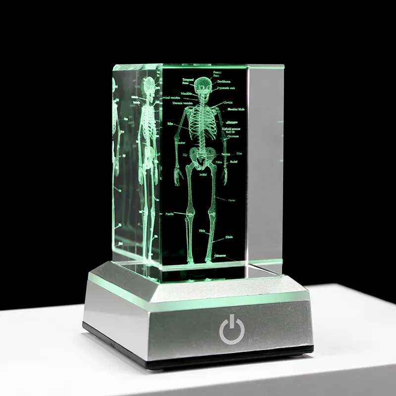 Cubo de esqueleto con grabado láser 3D para decoración del hogar, adorno de cristal para artesanía K9, regalos de ciencia médica