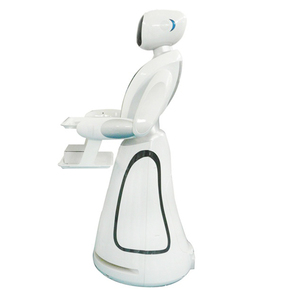 Human Following Chinese Robotic Factory <strong>Program</strong> AI Food <strong>Robot</strong>